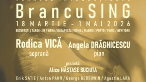 Târgu Jiu/ Proiect artistic, dedicat lui Constantin Brâncuși