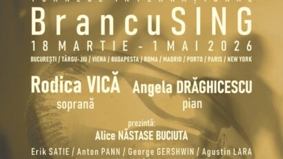 Târgu Jiu/ Proiect artistic, dedicat lui Constantin Brâncuși