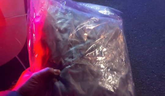 Mehedinți: prins în flagrant cu aproximativ un kilogram de canabis