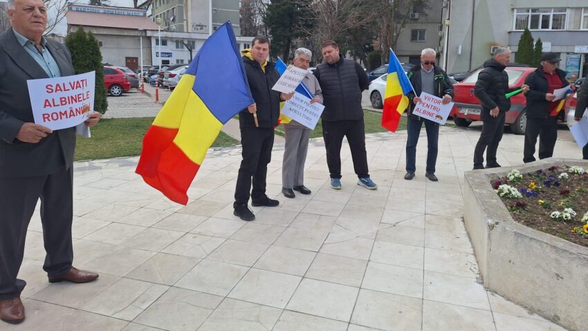 Apicultorii din Olt avertizează asupra colapsului iminent al acestui sector