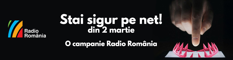 stai-sigur-pe-net Banner