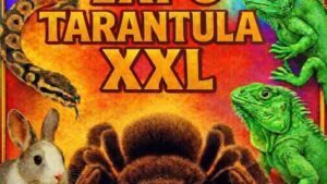 Târgu Jiu: TARANTULA XXL pe Stadionul Municipal Constantina Diță