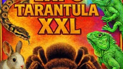 Târgu Jiu: TARANTULA XXL pe Stadionul Municipal Constantina Diță