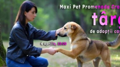 Târg de adopții canine, sâmbătă, la Craiova