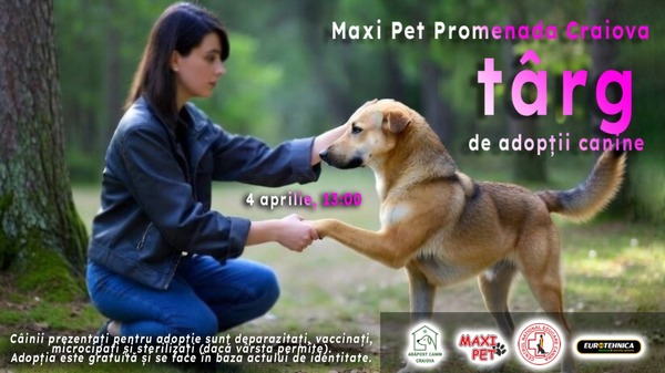 Craiova: Târg de adopții a câinilor din adăpostul public