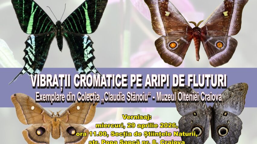 Craiova: „Vibrații Cromatice pe aripi de fluturi” – expoziție la Muzeul Olteniei