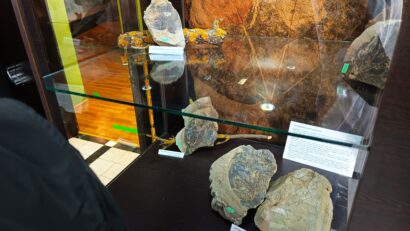 Expoziția temporară „Flora pietrificată a lumii de ieri” la Muzeul Regiunii Porților de Fier