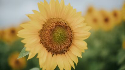 Prognoza meteo detaliata 24-27 aprilie