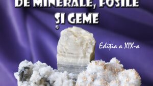 Muzeul Olteniei aduce din nou la Craiova Salonul Național de Minerale și Fosile