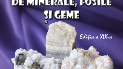 Muzeul Olteniei aduce din nou la Craiova Salonul Național de Minerale și Fosile