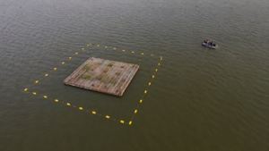 Insule plutitoare pentru păsările sălbatice au fost instalate pe Lacul Bistreț din Dolj