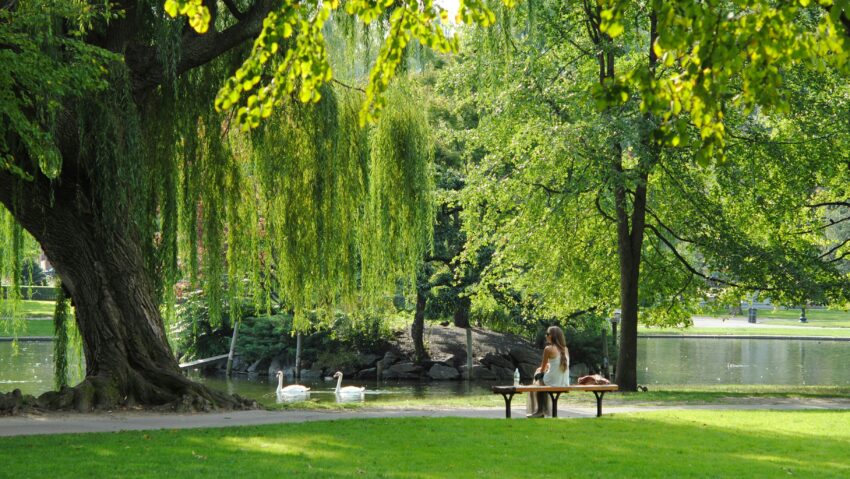 Proiect major în Craiova: parc de 50.000 mp cu lac și zone de agrement