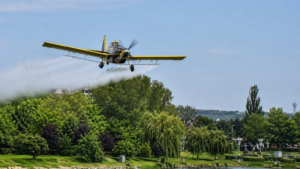O nouă etapă de dezinsecție aeriană la Craiova