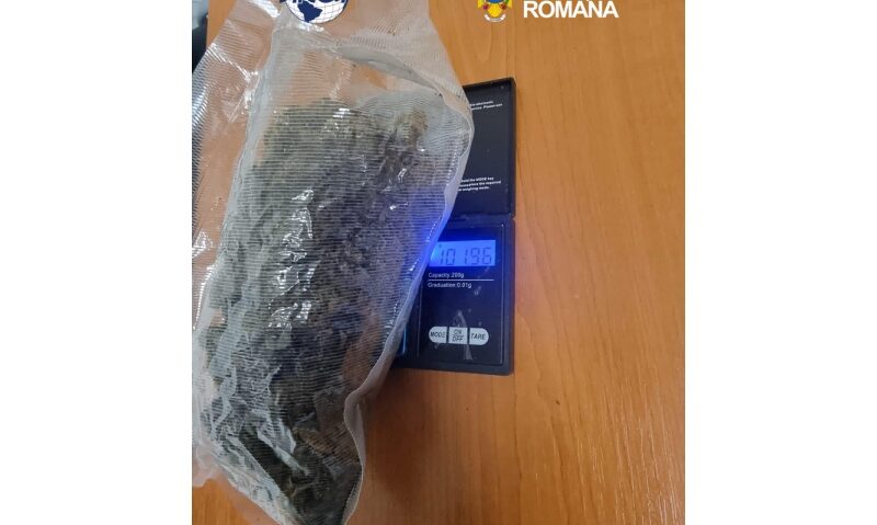 Tânăr din Mehedinți cercetat pentru trafic de droguri de risc și mare risc