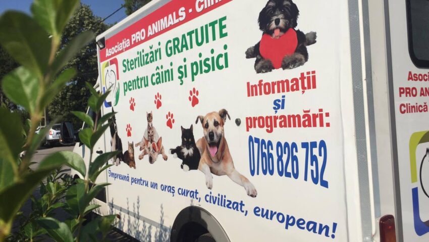 Gorj: Campanie gratuită de sterilizare și microcipare a câinilor și pisicilor