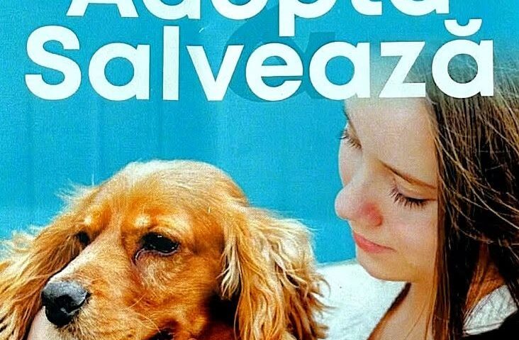 Târgu Jiu: Târg de adopții pentru câinii fără stăpân