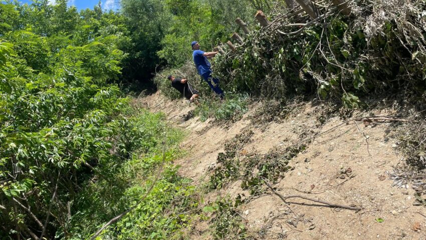 Olt: Soluție ecologică pentru protejarea malurilor