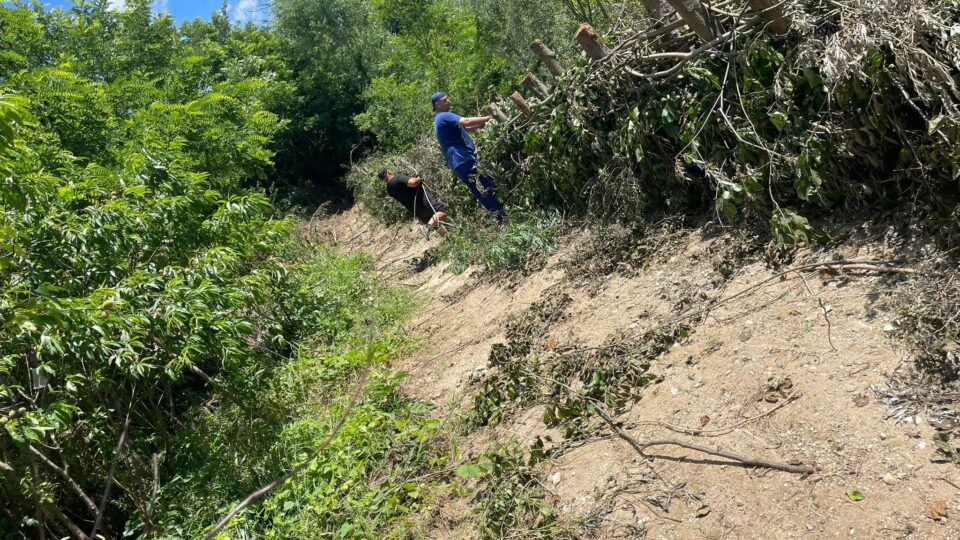 Olt: Soluție ecologică pentru protejarea malurilor