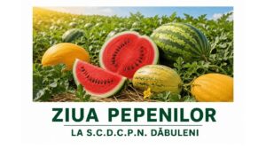 Dolj: Ziua Pepenilor la Stațiunea Dăbuleni