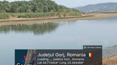 SE Turceni sancționată de Apele Române