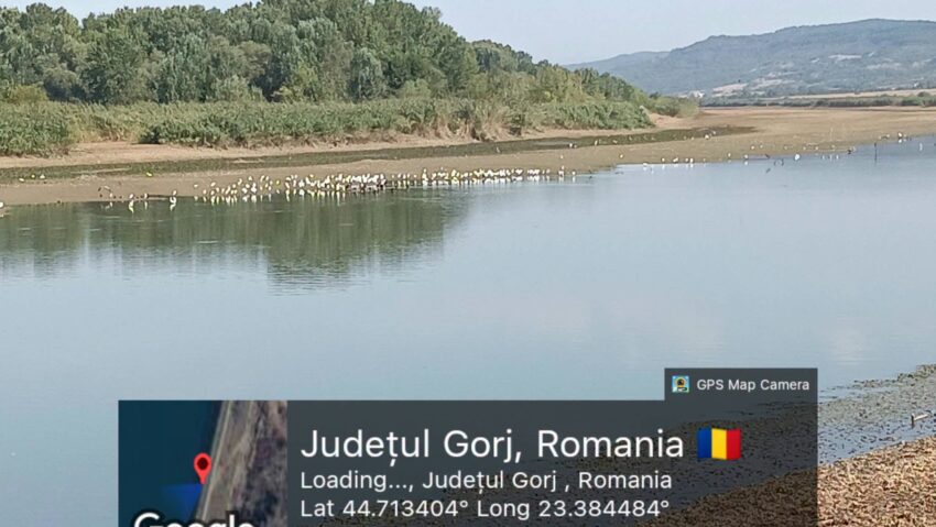 SE Turceni sancționată de Apele Române