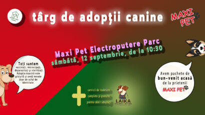 Craiova/Târg de adopții canine, pe 12 septembrie