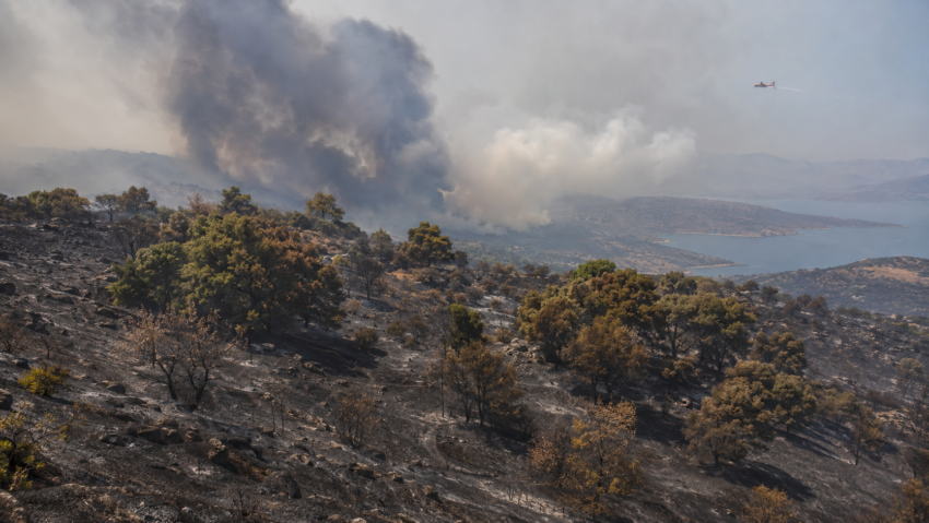 Pericolul incendiilor europene se mută spre estul Mediteranei
