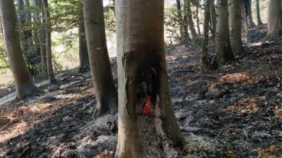 Mehedinți: Incendiul de vegetație de la Podeni continuă pentru a treia zi consecutiv