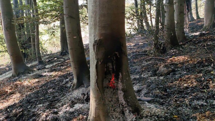 Mehedinți: Incendiul de vegetație de la Podeni continuă pentru a treia zi consecutiv