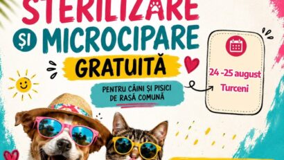 Gorj: campanie gratuită de sterilizare și microcipare pentru câini și pisici de rasă comună, la Turceni