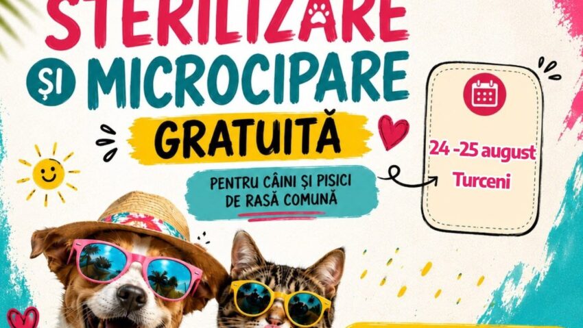 Gorj: campanie gratuită de sterilizare și microcipare pentru câini și pisici de rasă comună, la Turceni