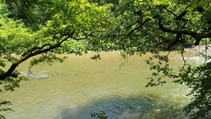 Cod Galben de viituri şi posibile inundaţii locale, până joi dimineață