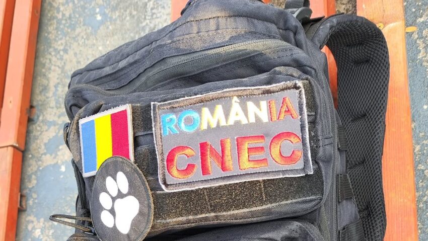 Craiova: Centrul Național de Educare Canină organizează competiția internațională canină FCI OPEN SAR 2026