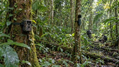 Proiect de 100 de milioane de dolari pentru monitorizarea biodiversității Amazonului