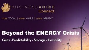 Craiova: BusinessVOICE Connect: Beyond the Energy Crisis la Muzeul Cărţii şi Exilului Românesc