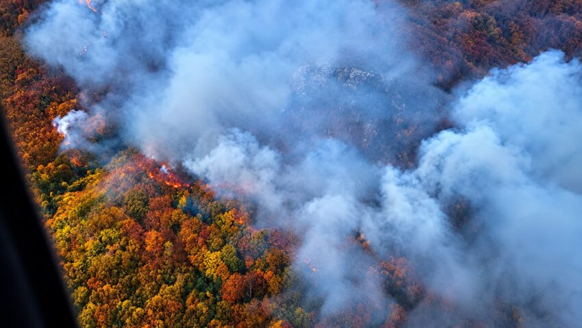 Pompierii luptă în continuare cu incendiul forestier din Parcul Național Domogled-Valea Cernei