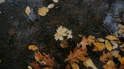Prognoza meteo, în Oltenia, pentru perioada 19 octombrie - 1 noiembrie
