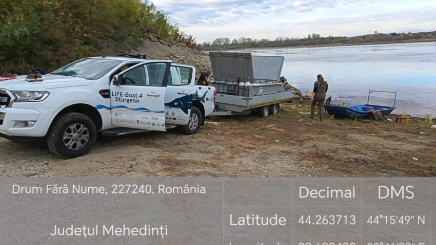 Mehedinți: Dunărea, repopulată cu sturioni, în zona portului Gruia